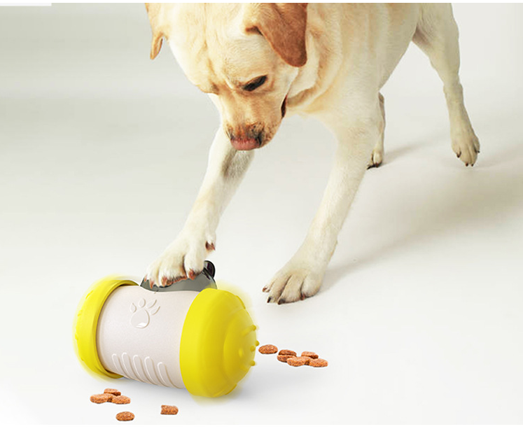 Interactive Dog Toy Engage Your Dog's Mind and Body!