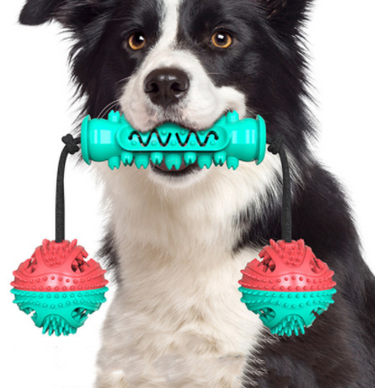 Dog Teeth Cleaning Toy