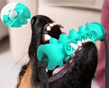 Dog Teeth Cleaning Toy