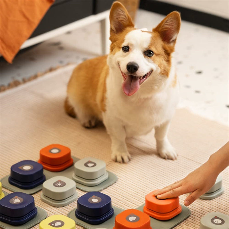 Pet Communication Button