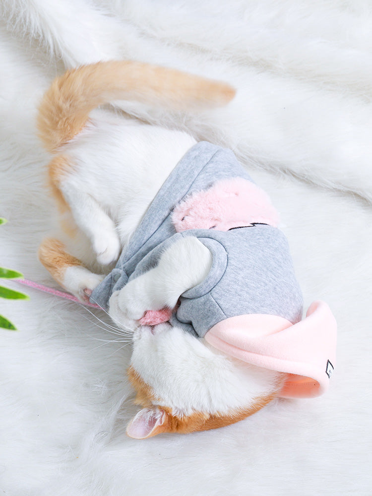 Adorable Feline Fashion