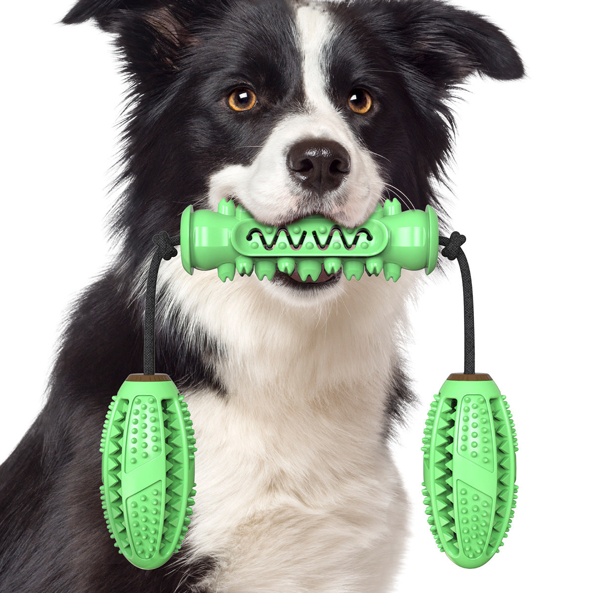 Dog Teeth Cleaning Toy