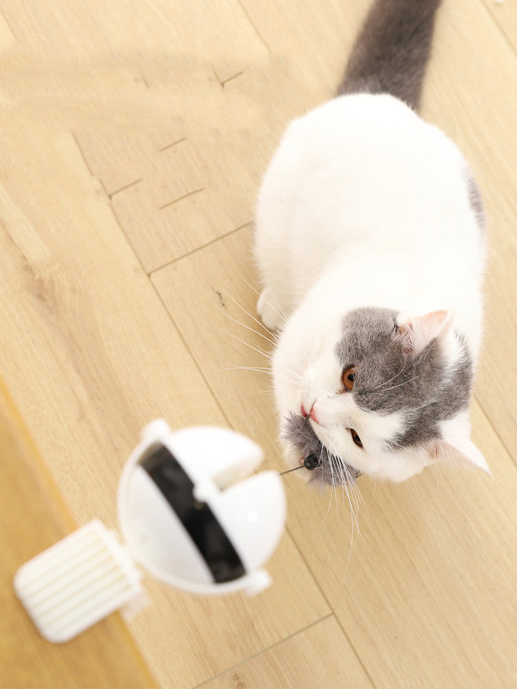 Automatic Lifting Motion Cat Toy