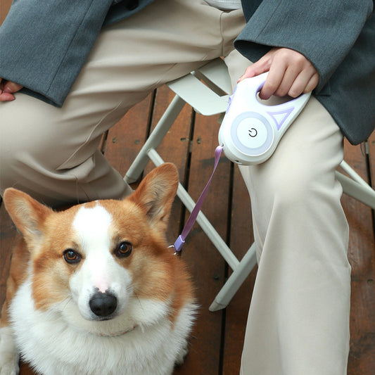 Dog Retractable Leash