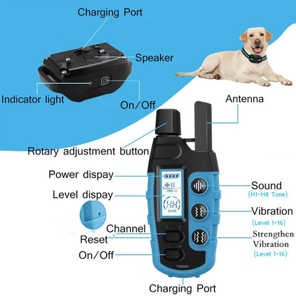 Dog Training Collar with Remote Rechargeable