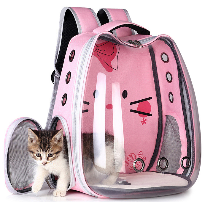 Cat Backpack