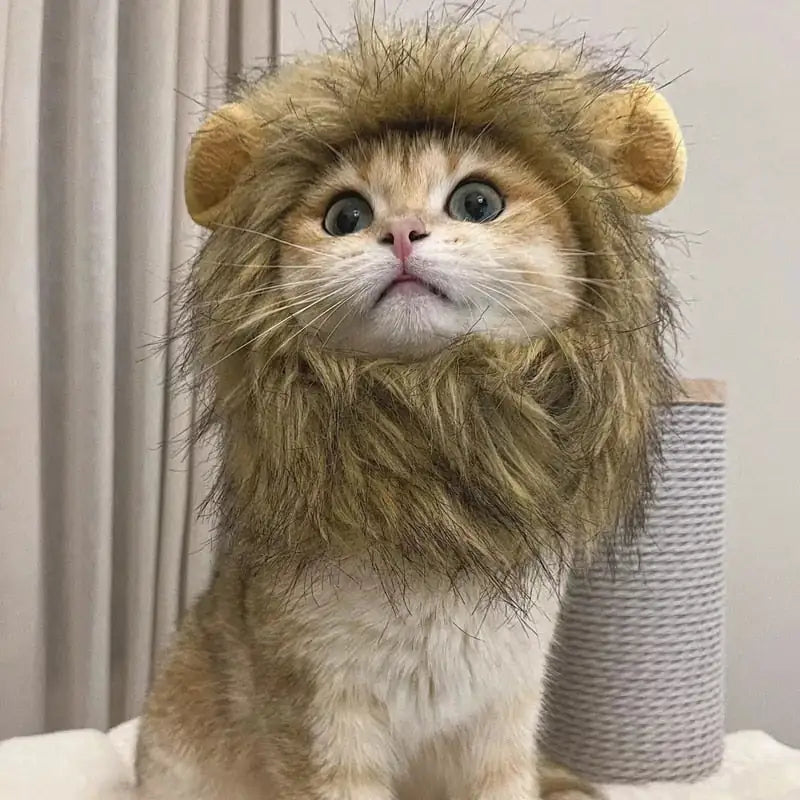 Cat Costume